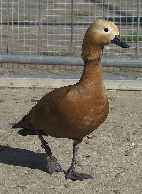 一幕引发众